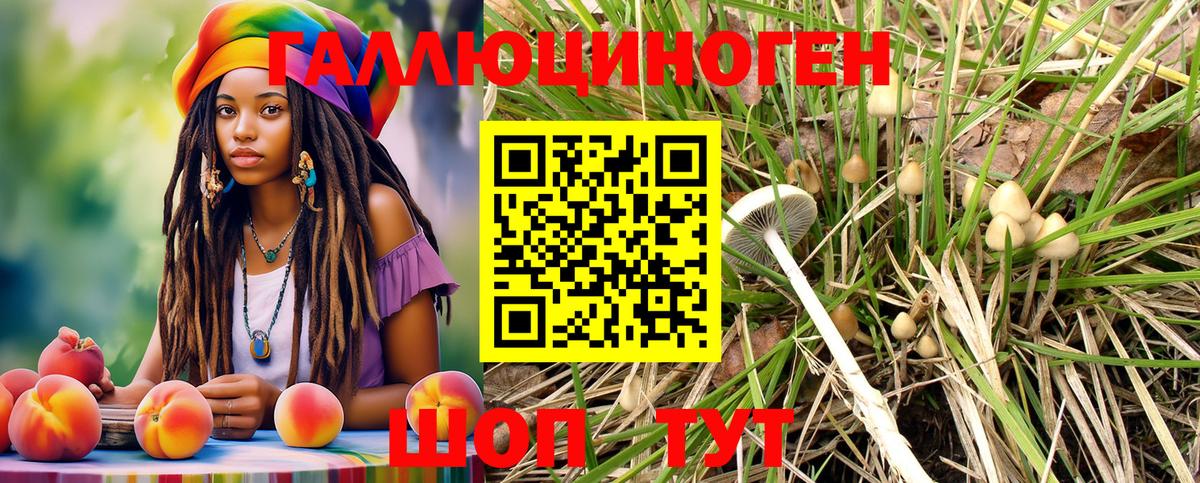 Псилоцибиновые грибы мухоморы  Вход с VPN  Ивантеевка 